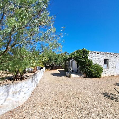 Olive Grove Cottage Koringberg Exterior foto