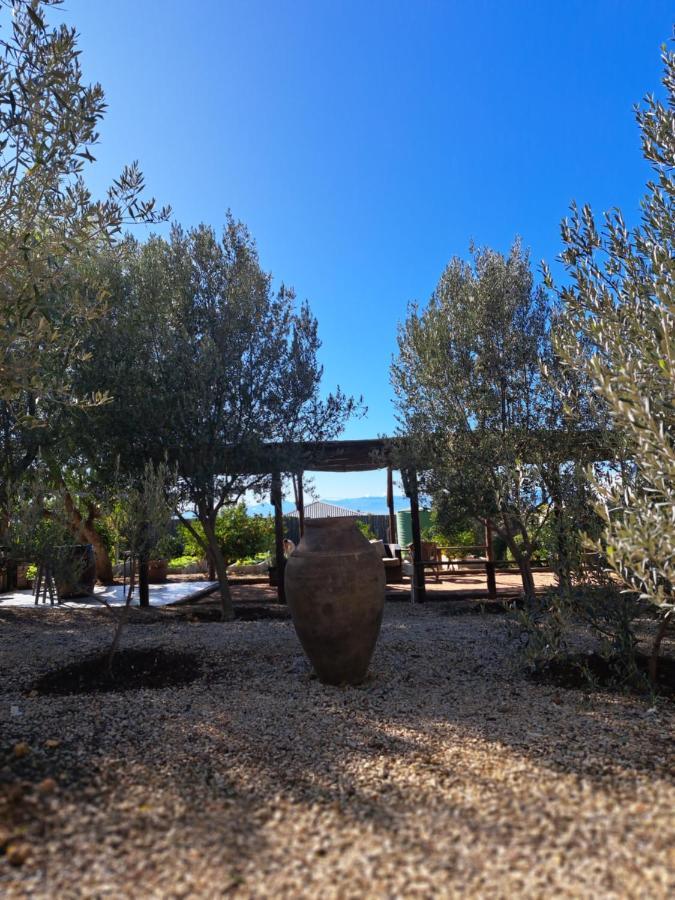 Olive Grove Cottage Koringberg Exterior foto